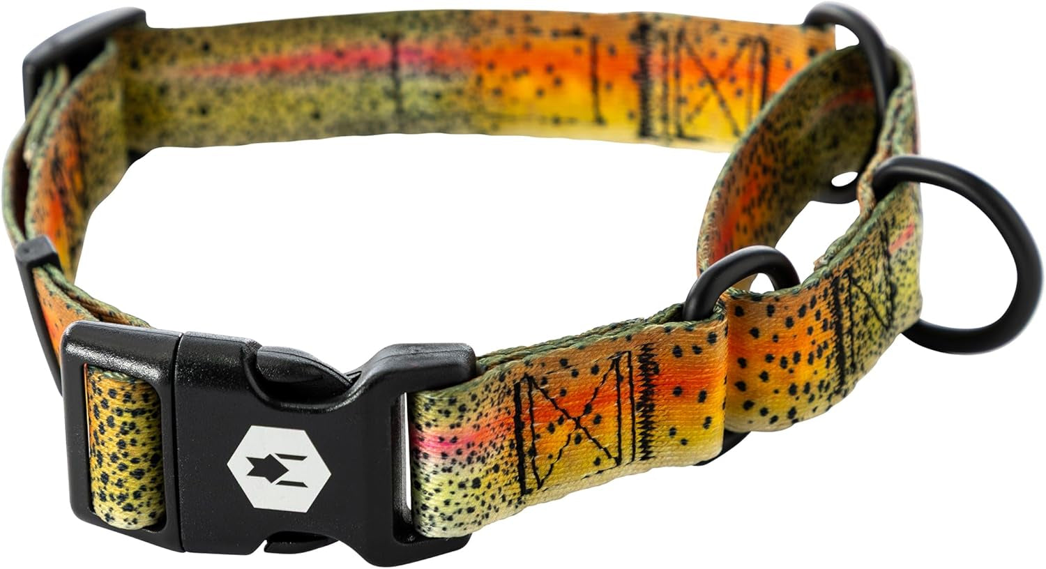 Wolfgang Heavy Duty Martingale Dog Collar with Quick Release Nylon Buckle for Walking & Training, Cutbow Print, Large