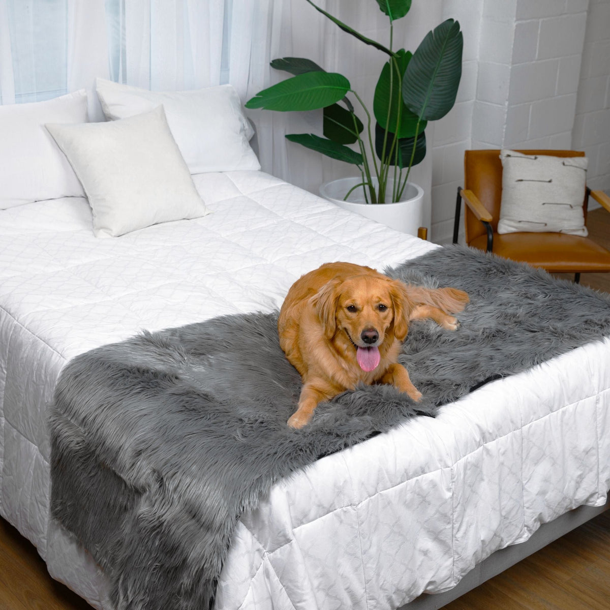 Waterproof Dog Bed Runner - PupProtector™ Charcoal Grey - American Bark Bliss