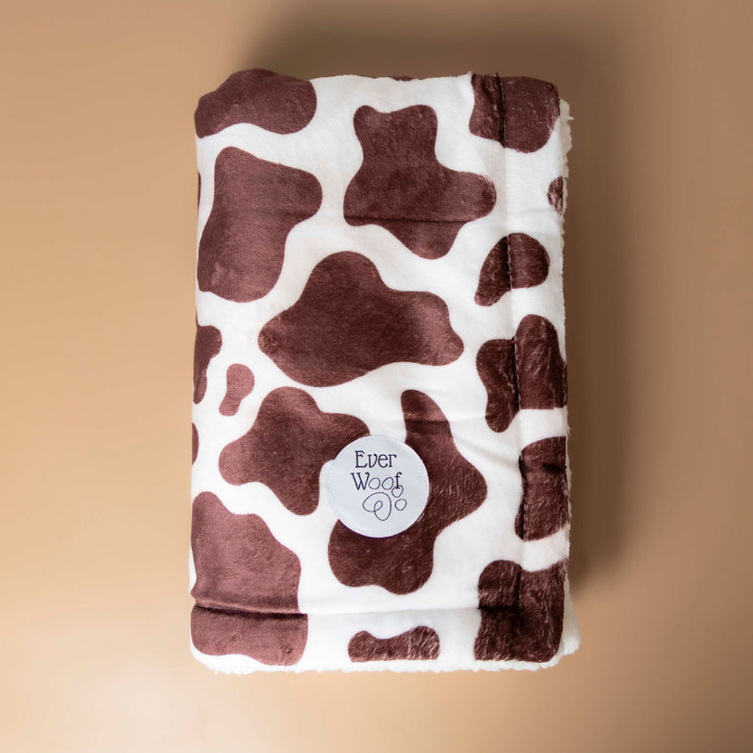 Chocolate Cow Dog Blanket - American Bark Bliss
