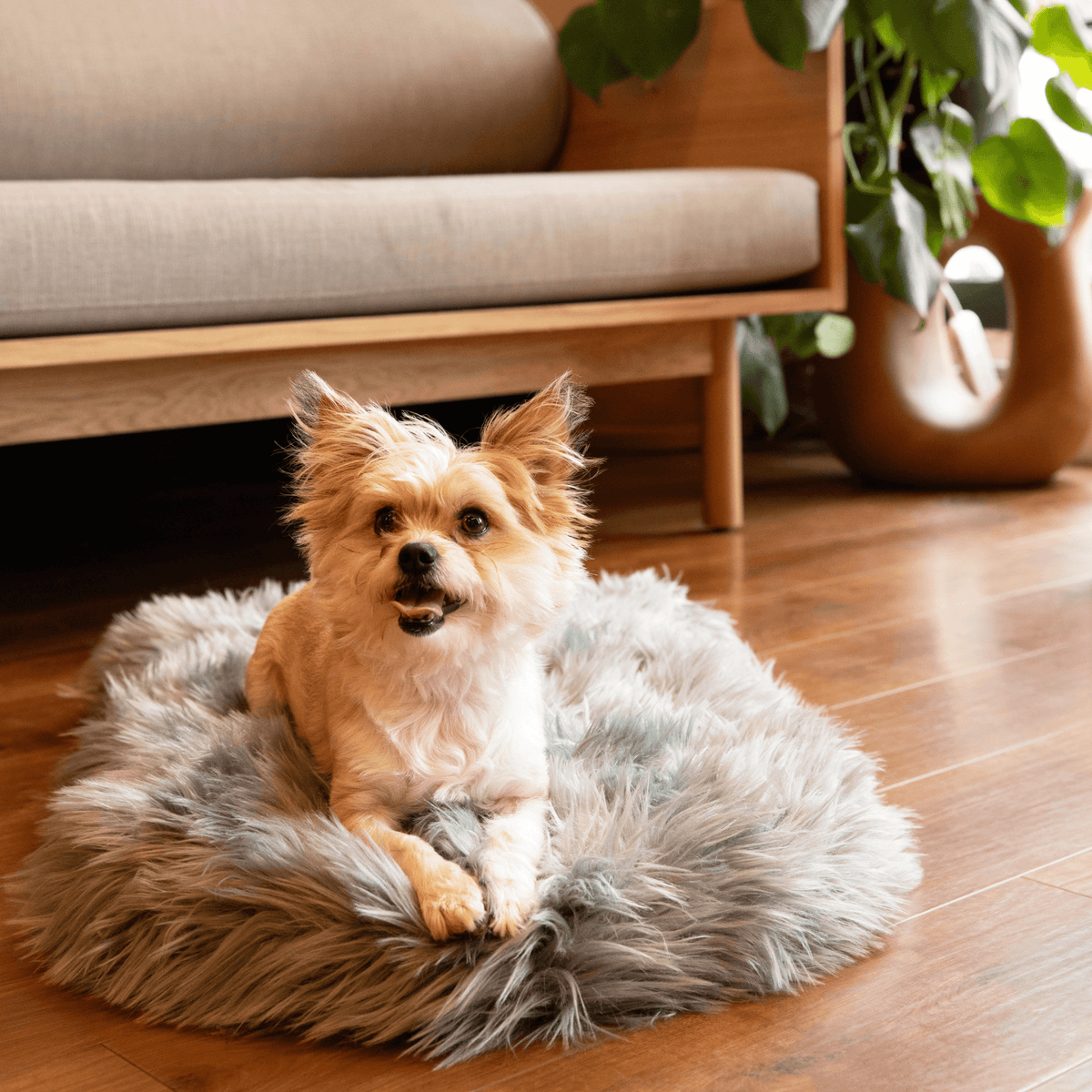 PupRug by Paw.com® Faux Fur Orthopedic Dog Bed - Curve Charcoal Grey - American Bark Bliss