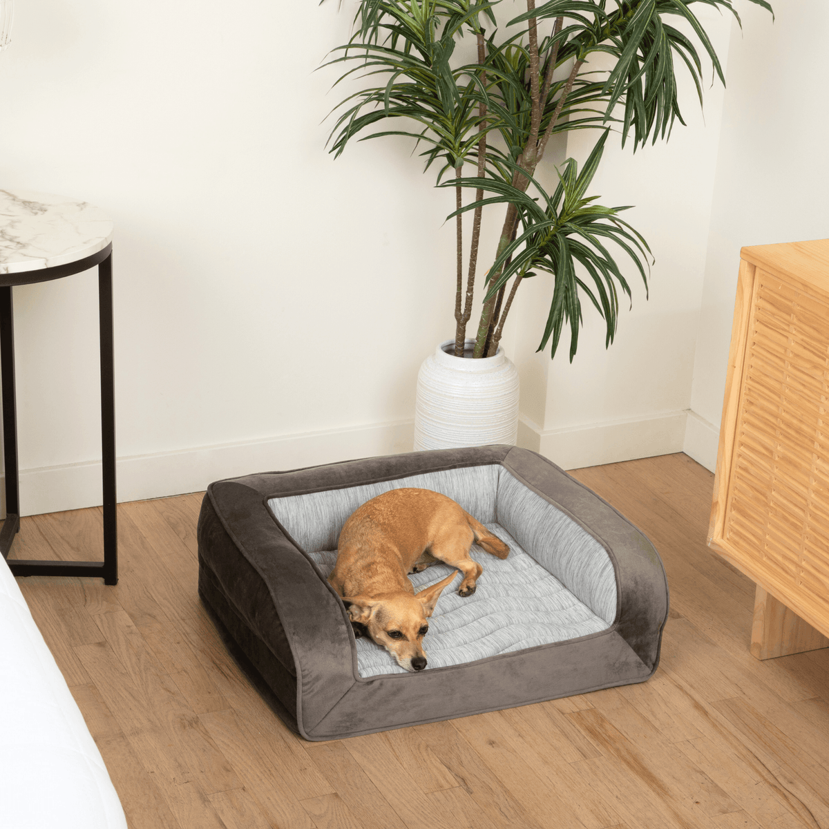 PupChill Cooling Bolster Bed for Dogs - American Bark Bliss