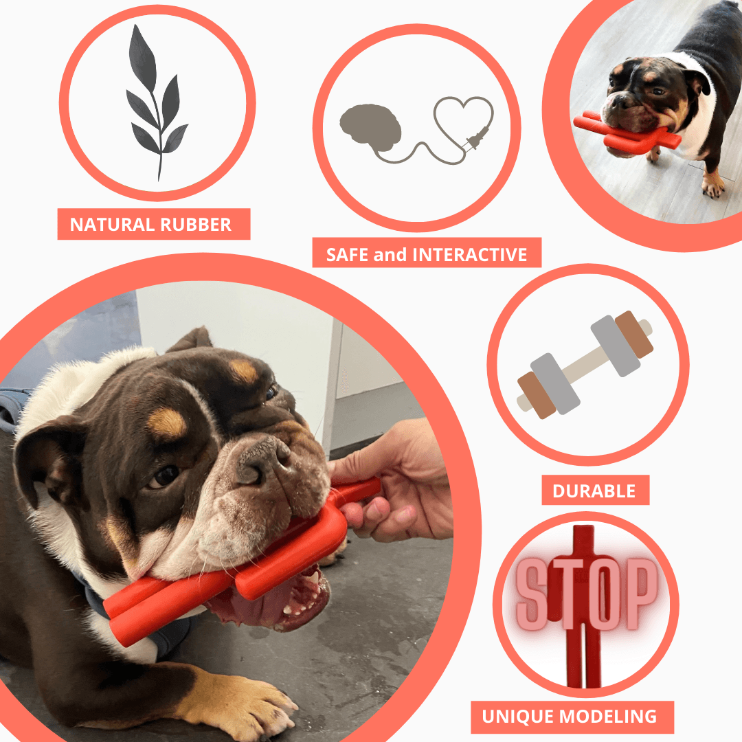 Durable Dog Chew Toy for All Breeds and Sizes - American Bark Bliss