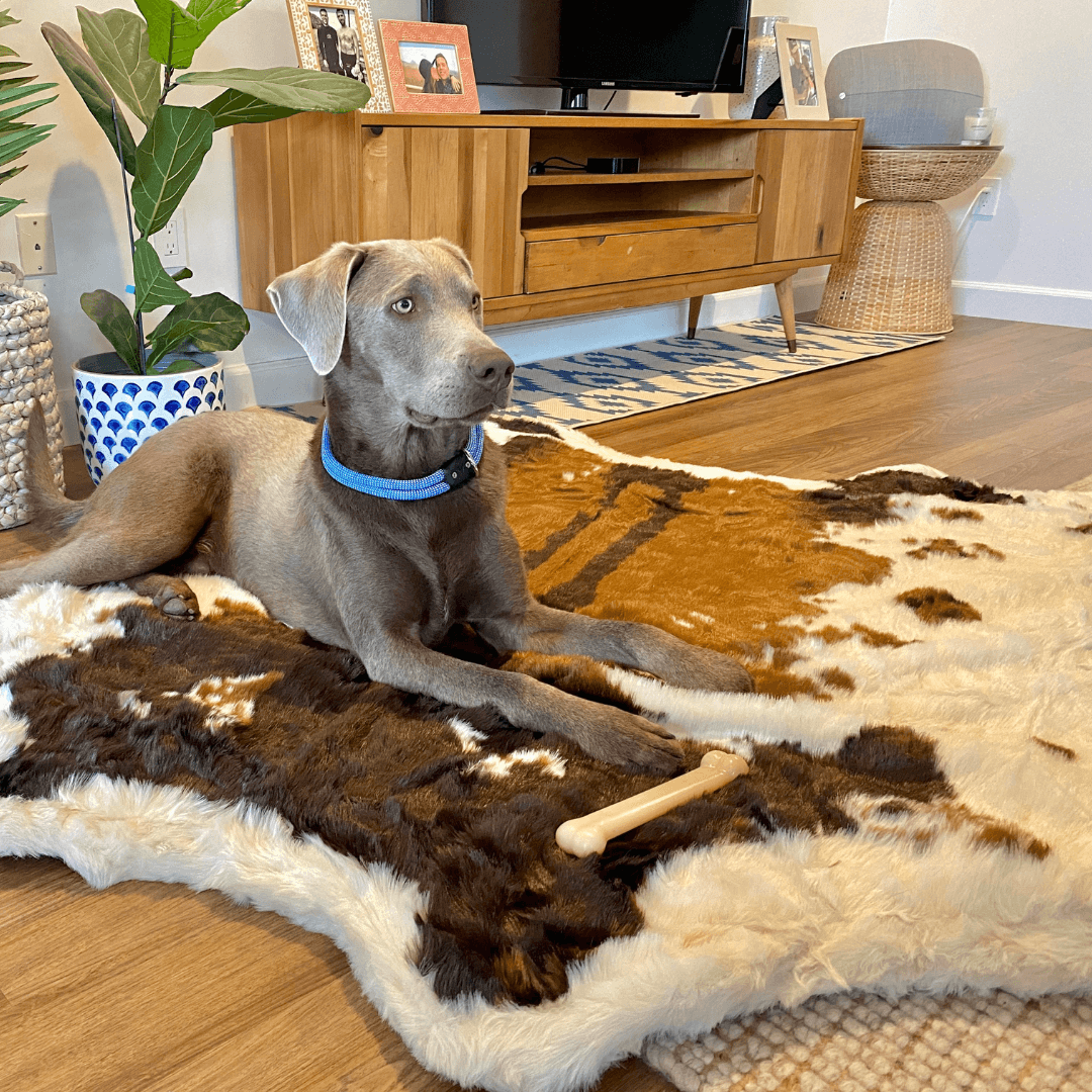 Memory Foam Dog Bed - PupRug® Faux Cowhide Style - American Bark Bliss