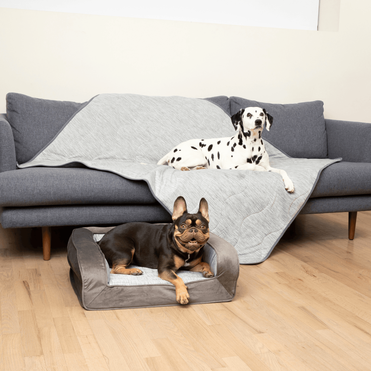 PupChill™ Cooling Dog Bed Bundle - Arctic Grey - American Bark Bliss