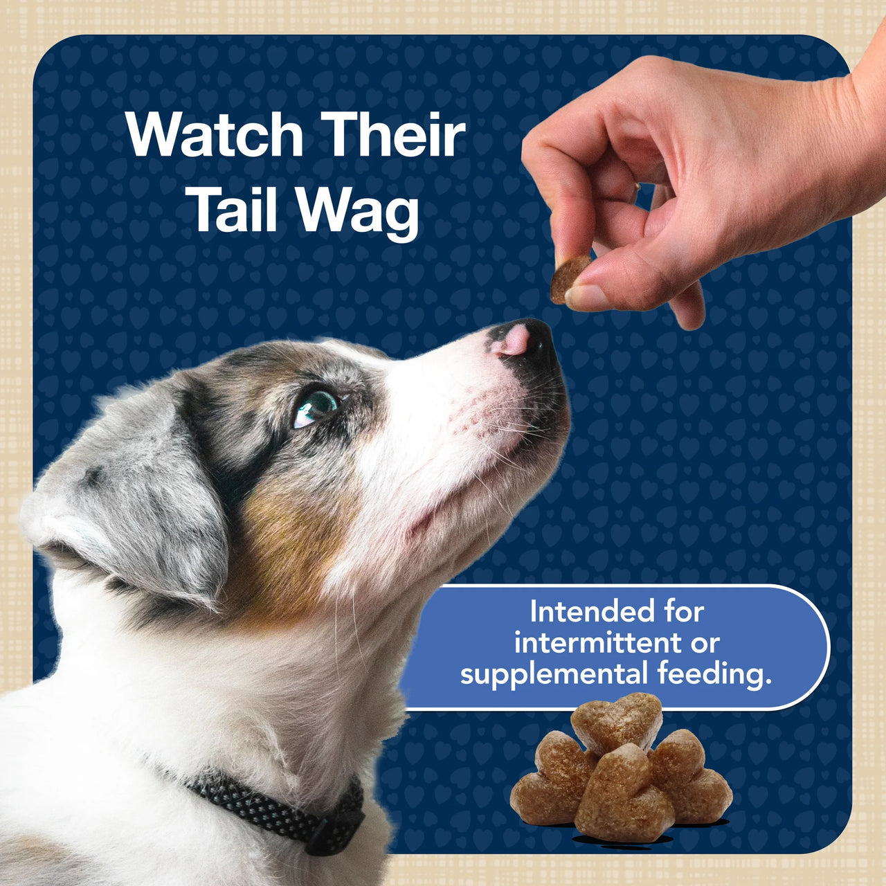 Bits Soft Dog Treats for Training, Enhanced with DHA, 11-Oz. Bag - American Bark Bliss