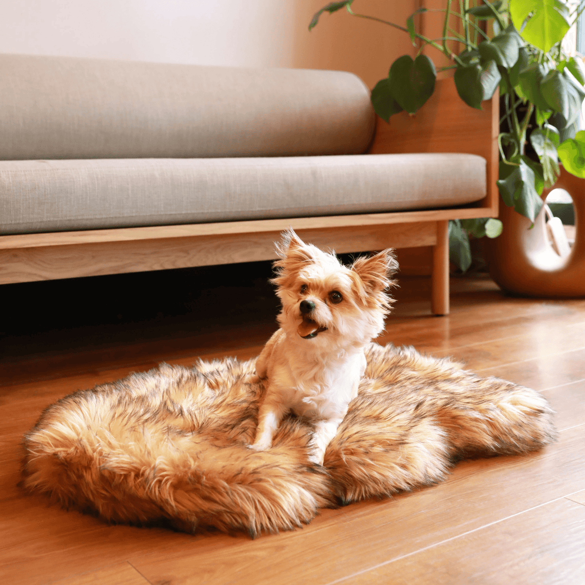 PupRug by Paw.com® Faux Fur Orthopedic Dog Bed - Curve Sable Tan - American Bark Bliss