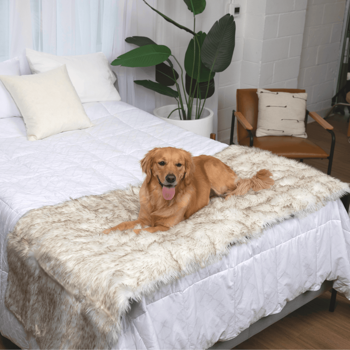 Dog Bed Runner Waterproof - PupProtector™ - American Bark Bliss