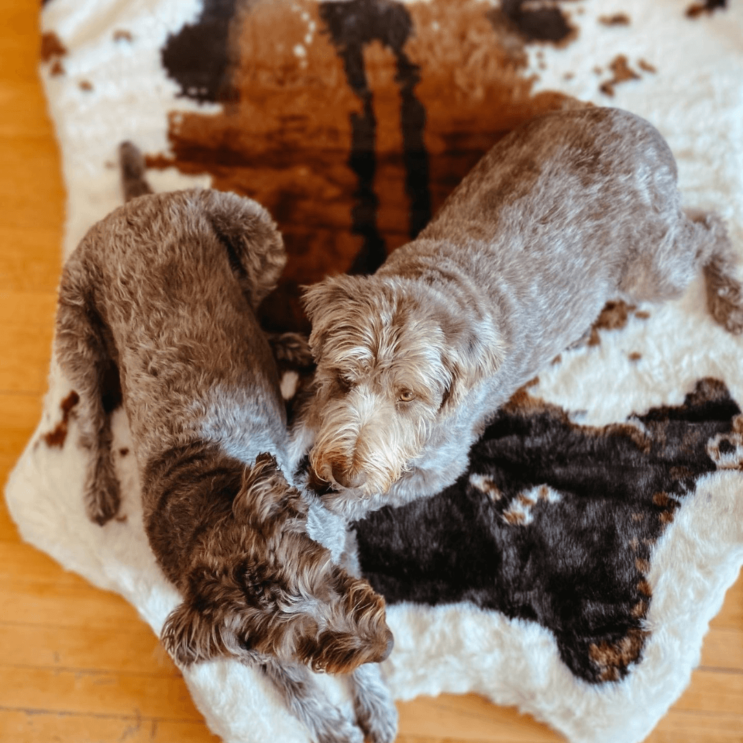 Memory Foam Dog Bed - PupRug® Faux Cowhide Style - American Bark Bliss