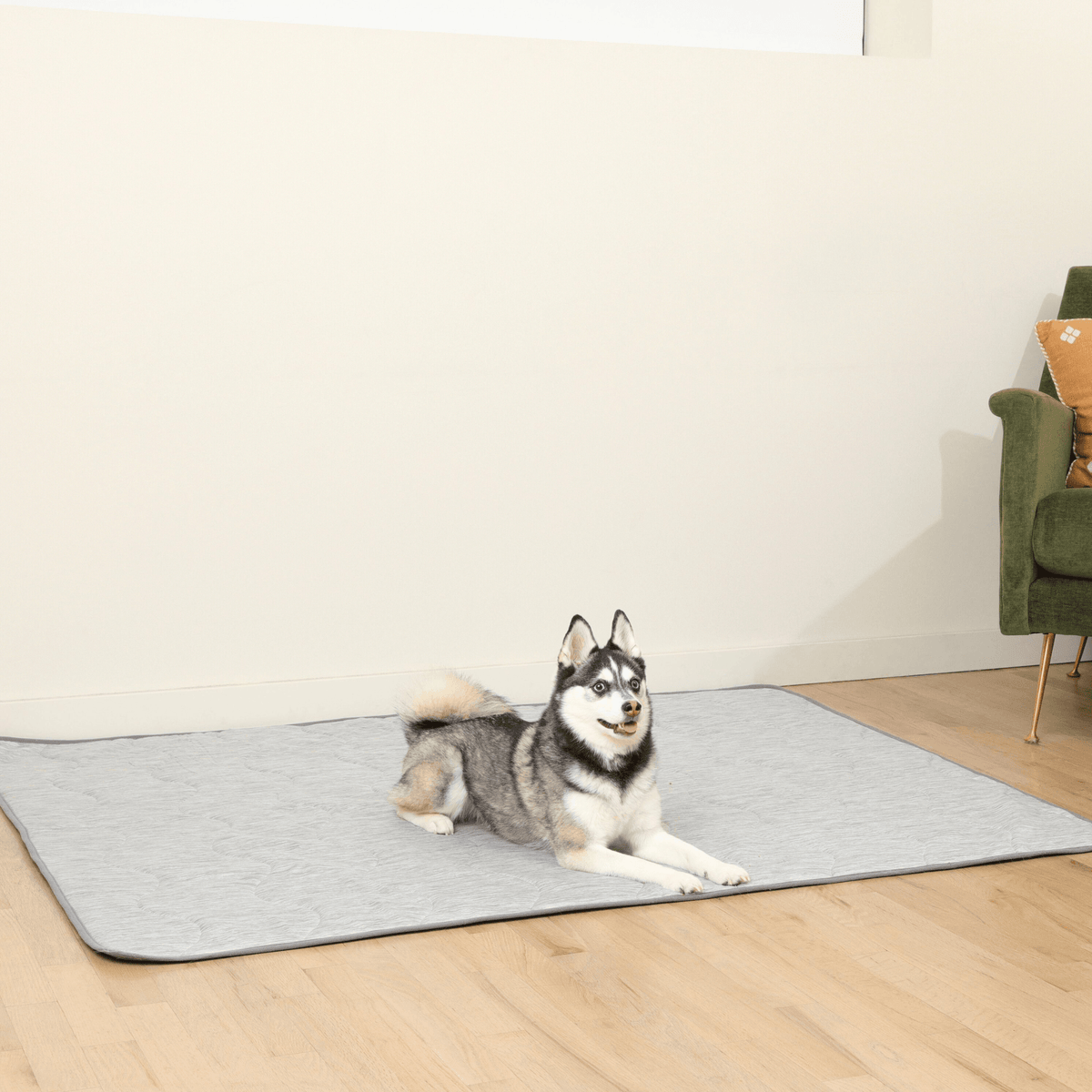 PupChill™ Cooling Dog Bed Bundle - Arctic Grey - American Bark Bliss