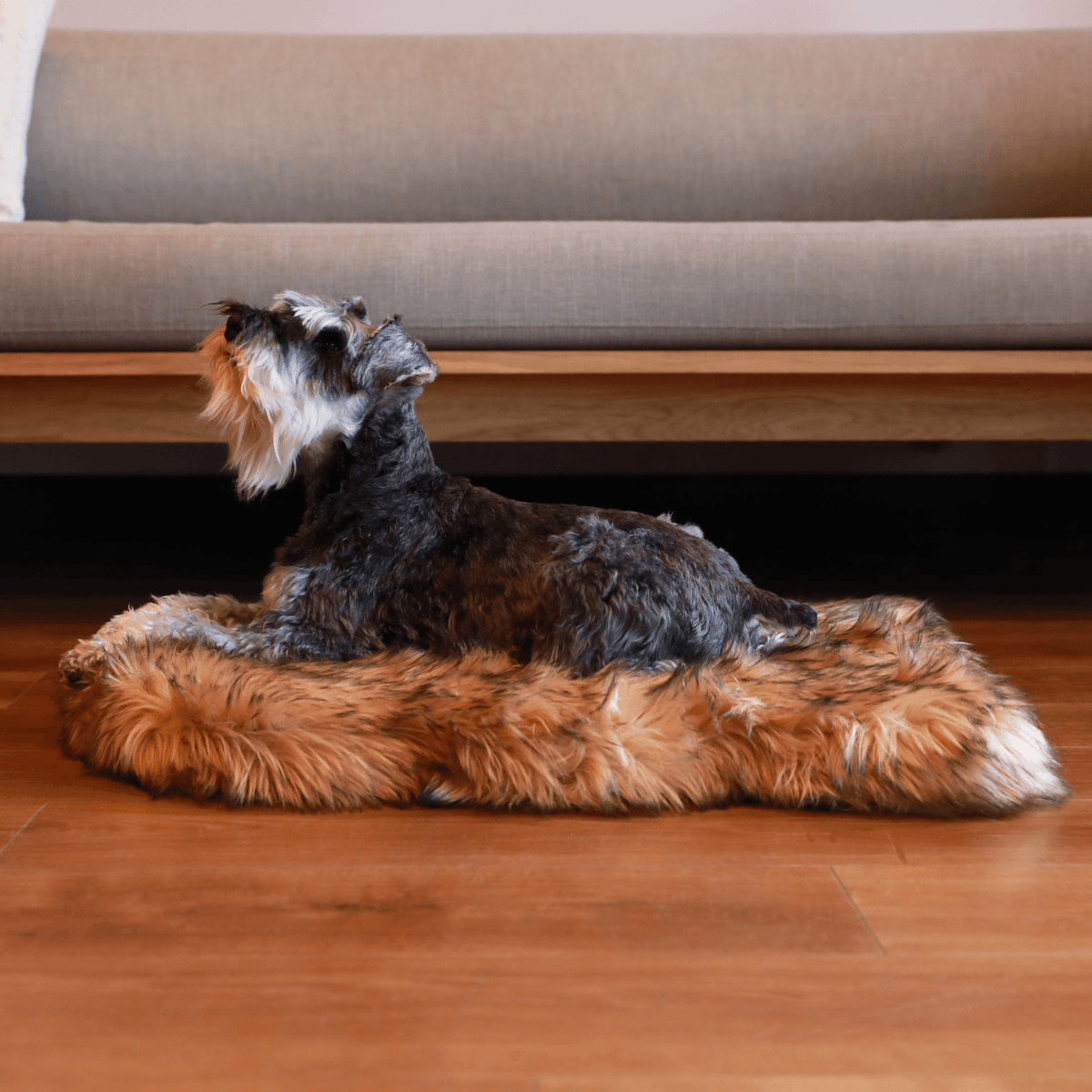 PupRug by Paw.com® Faux Fur Orthopedic Dog Bed - Curve Sable Tan - American Bark Bliss