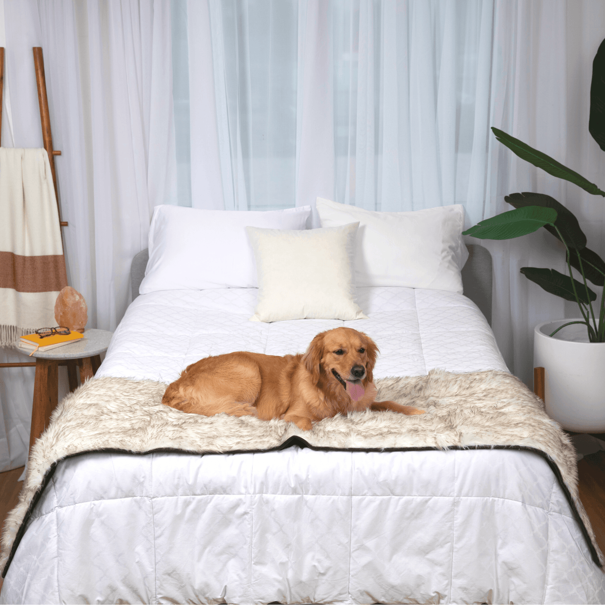 Dog Bed Runner Waterproof - PupProtector™ - American Bark Bliss