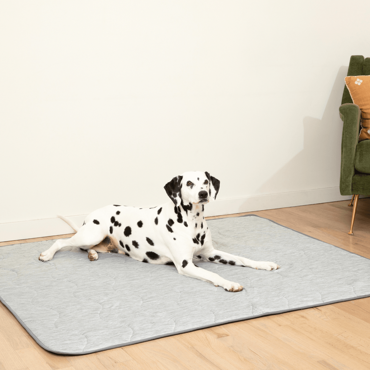 PupChill™ Cooling Waterproof Dog Blanket - Arctic Grey - American Bark Bliss