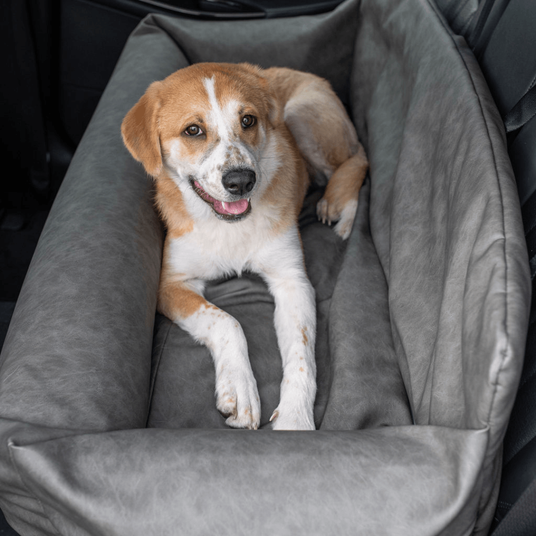 Memory Foam Dog Car Bed - Slate Gray - American Bark Bliss