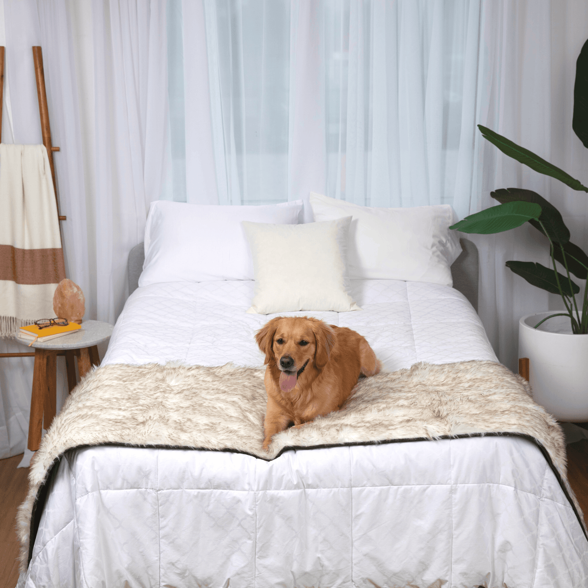 Dog Bed Runner Waterproof - PupProtector™ - American Bark Bliss