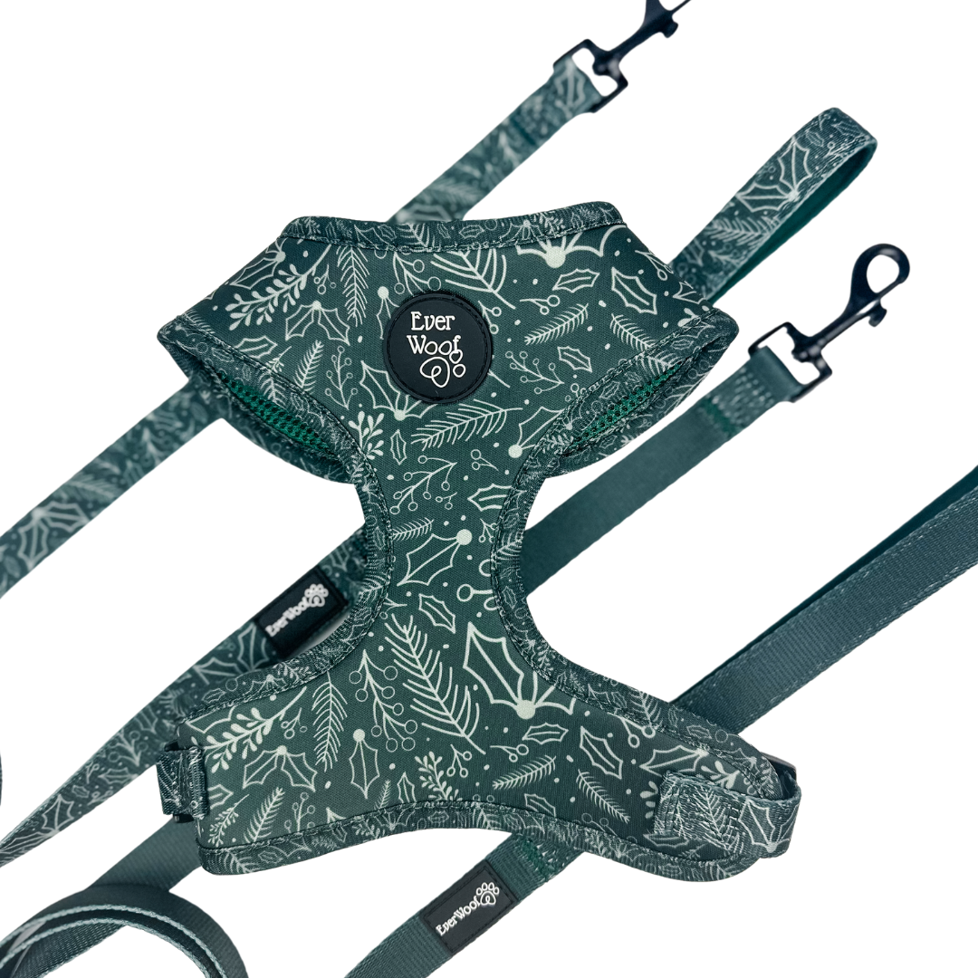 Evergreen Dream Leashes - American Bark Bliss