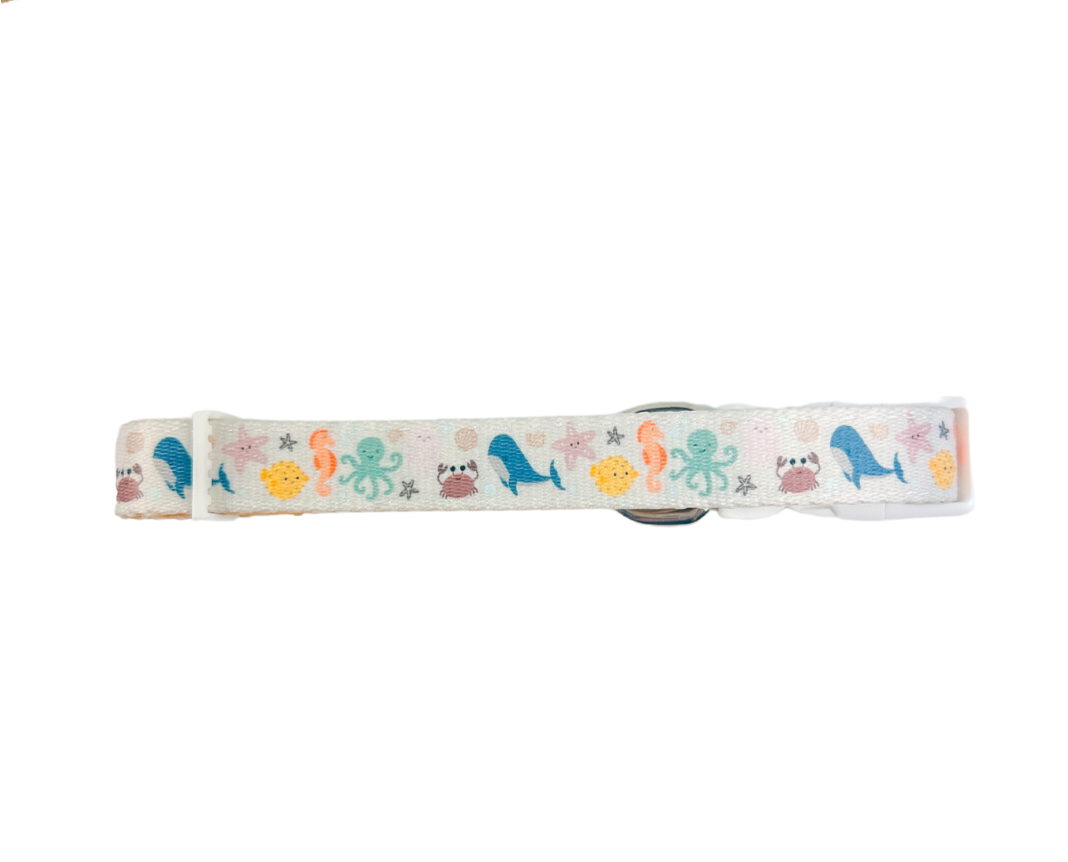Sea la vie Collar - American Bark Bliss
