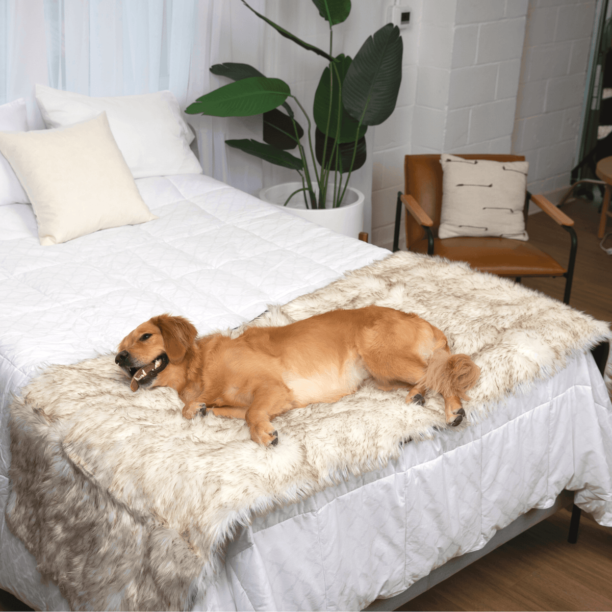 Dog Bed Runner Waterproof - PupProtector™ - American Bark Bliss