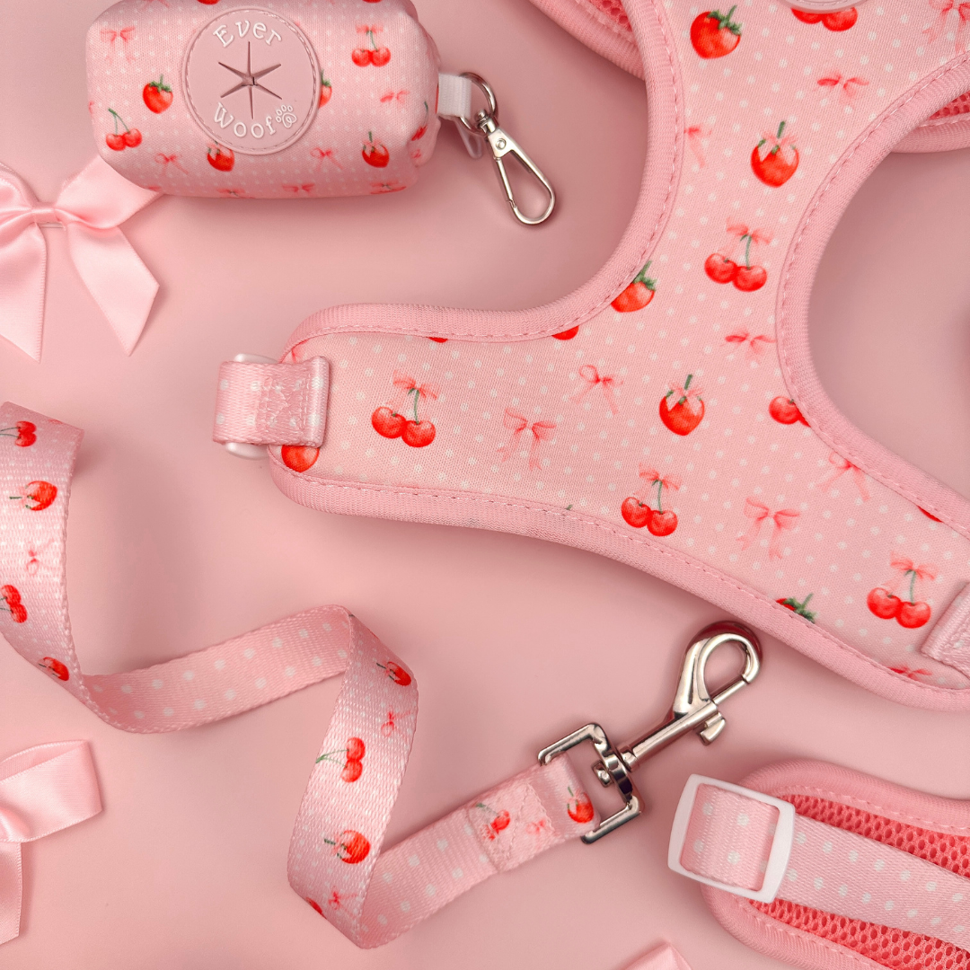 Sweet Chérie Leash - American Bark Bliss