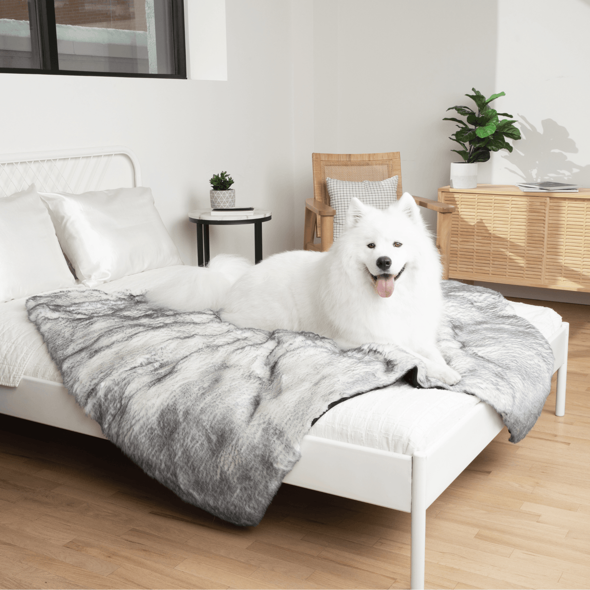 PupProtector™ Waterproof Faux Fur Blanket - American Bark Bliss