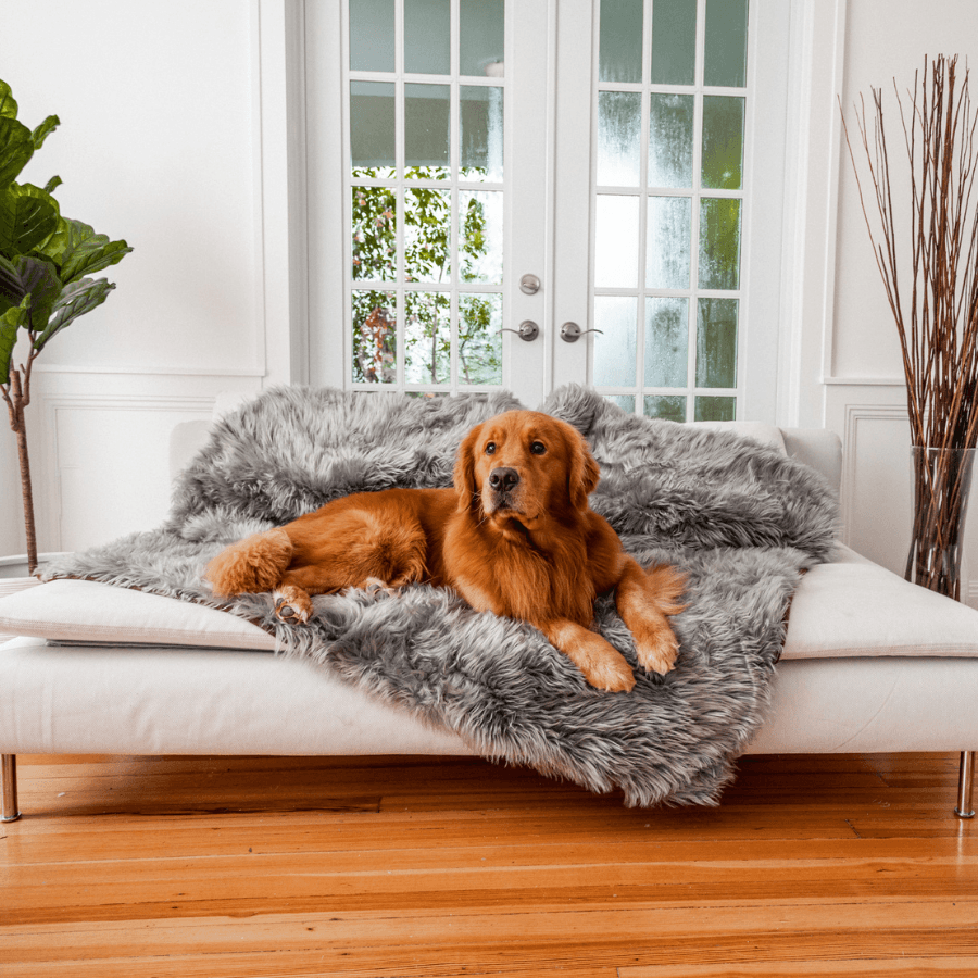 Waterproof Dog Throw Blanket - Protect Your Furniture - American Bark Bliss