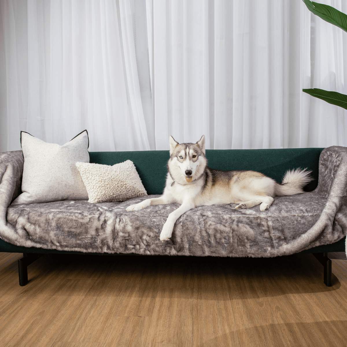 PupProtector™ Luxe Waterproof Dog Bed Runner - Chinchilla - American Bark Bliss