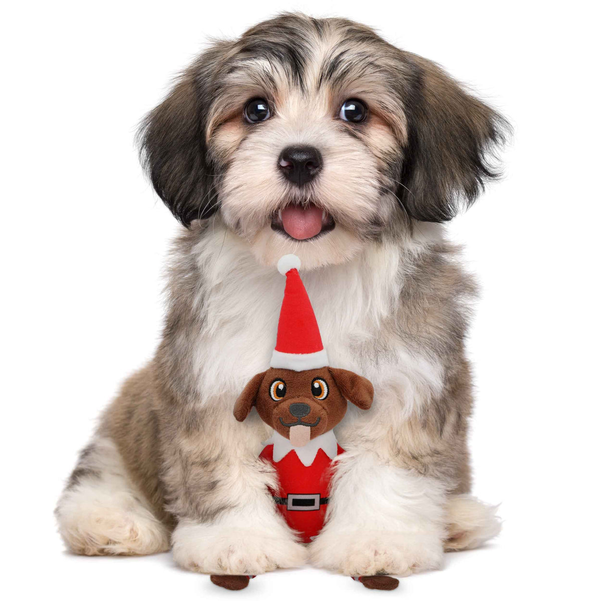 Pooch on a Perch – Christmas Elf Dog Toy with Squeaker & Crinkle Paper