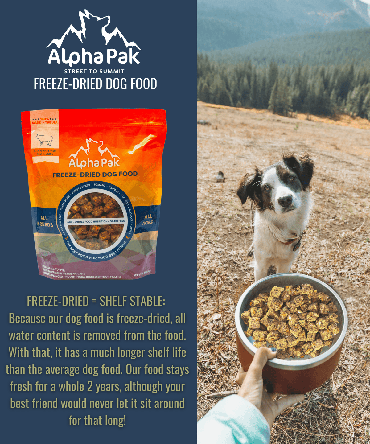 Raw Freeze Dried Dog Food Beef - All-Natural Nutrition - American Bark Bliss