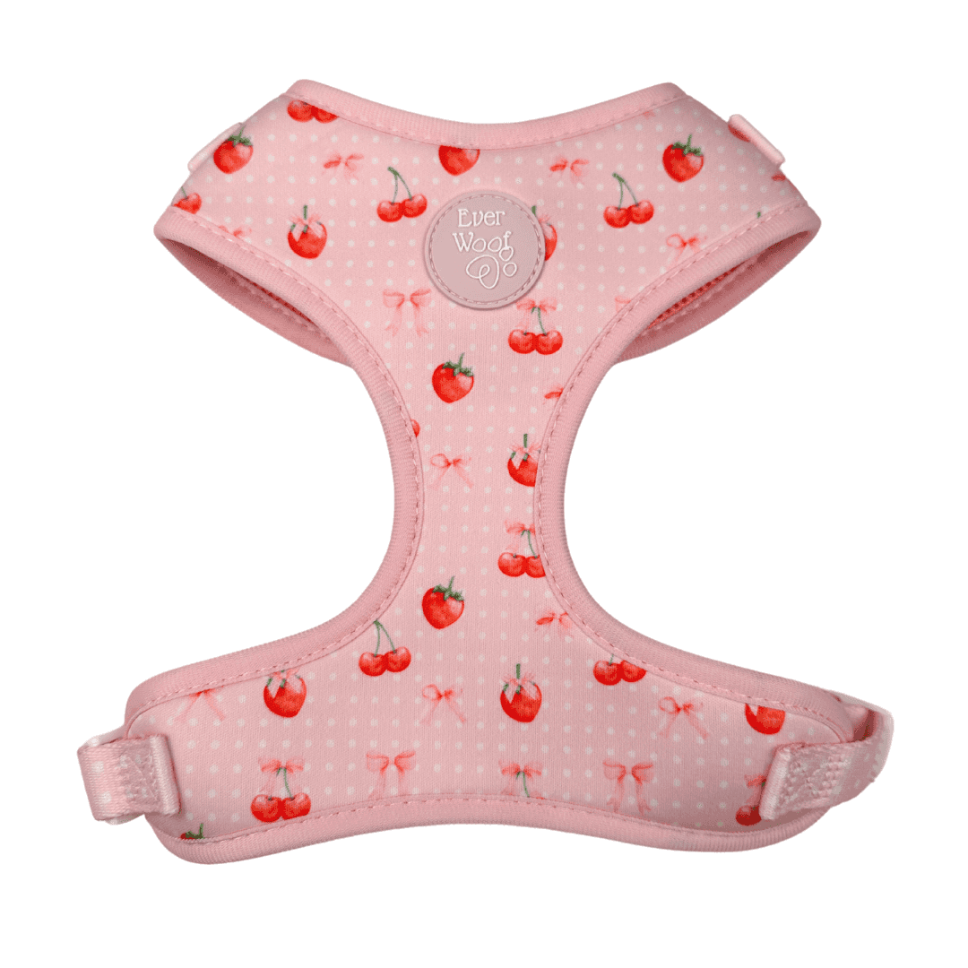 Sweet Chérie Adjustable Harness - American Bark Bliss