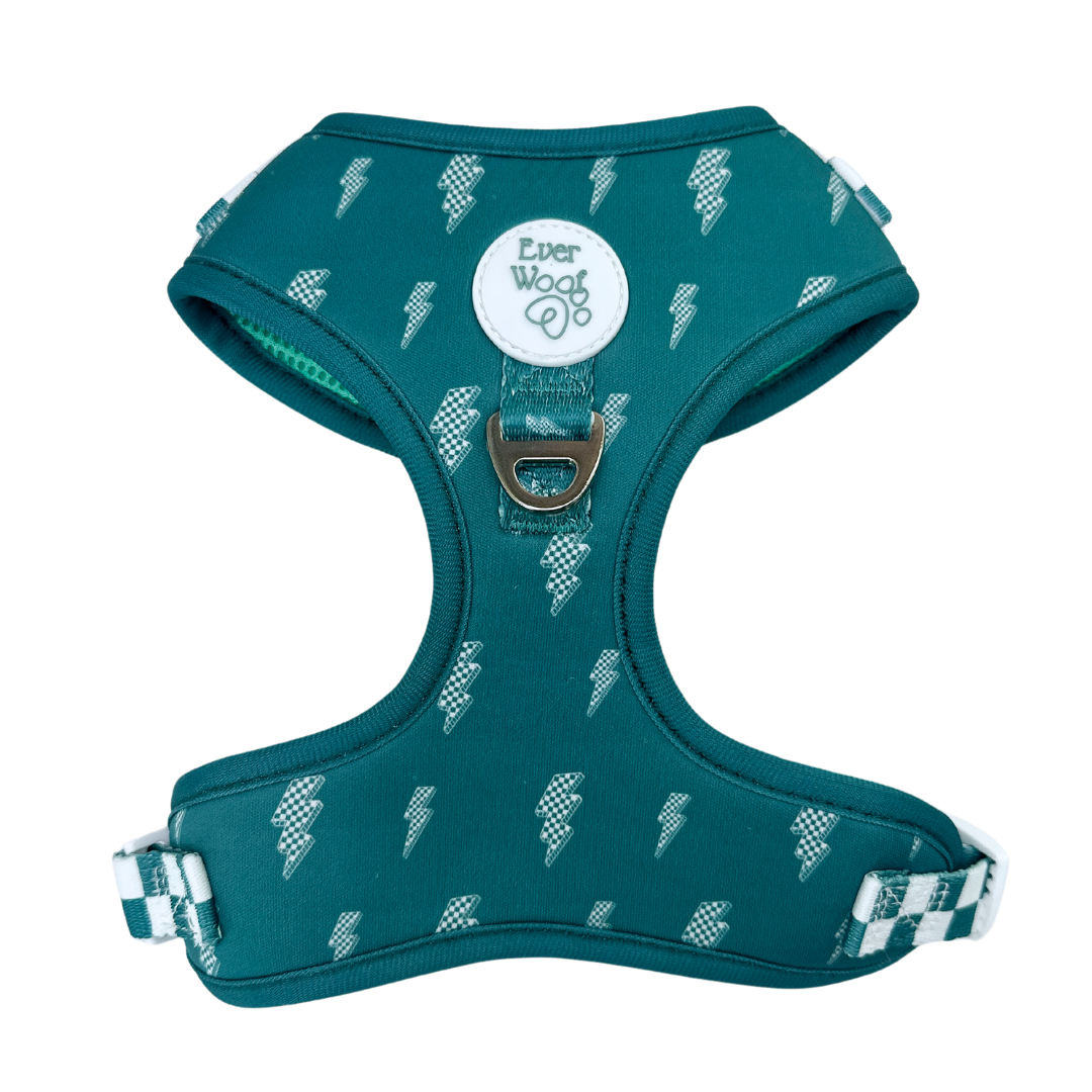 Thunderstruck Adjustable Harness - American Bark Bliss