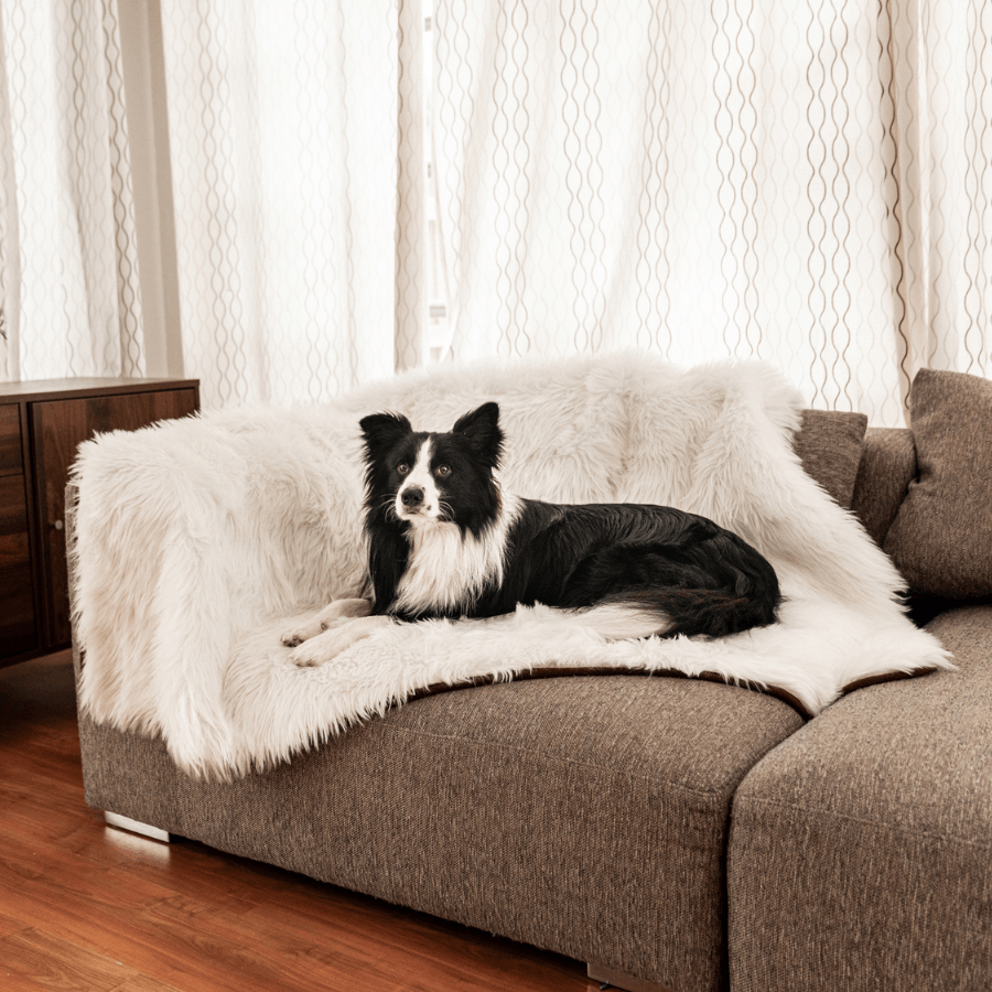PupProtector Waterproof Dog Blanket - Polar White - American Bark Bliss