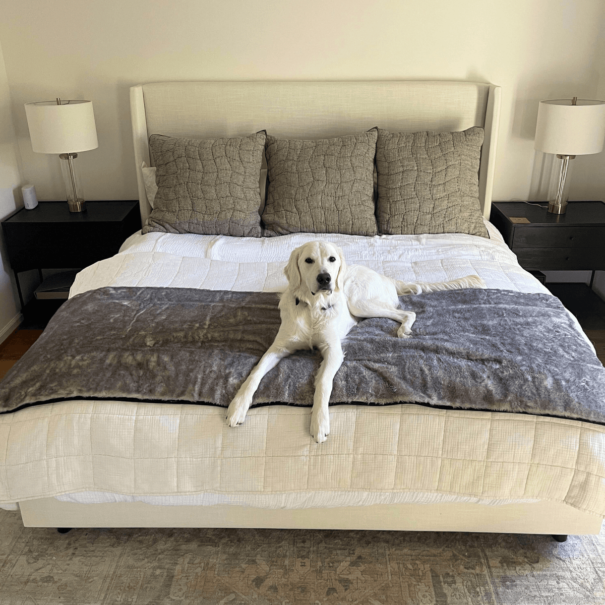 PupProtector™ Luxe Waterproof Dog Bed Runner - Chinchilla - American Bark Bliss