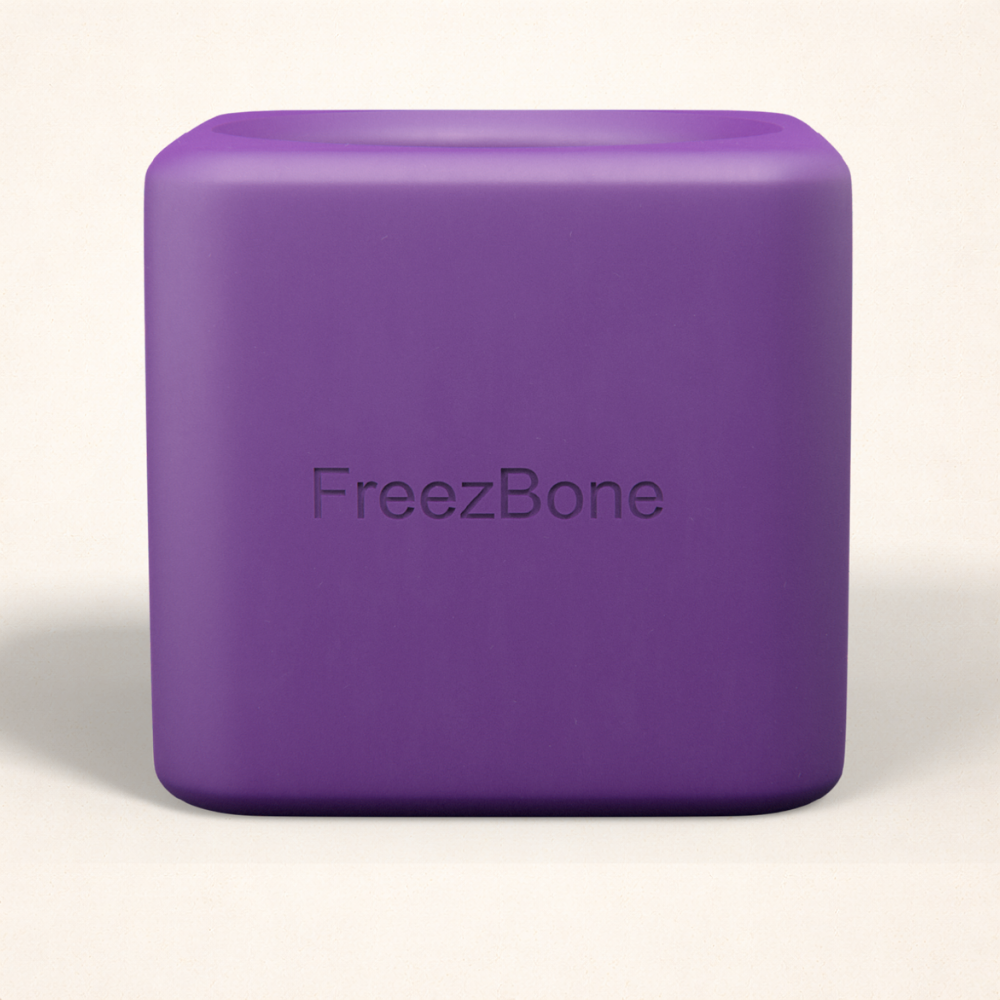 Freezbox - Super Tough Treat Toy