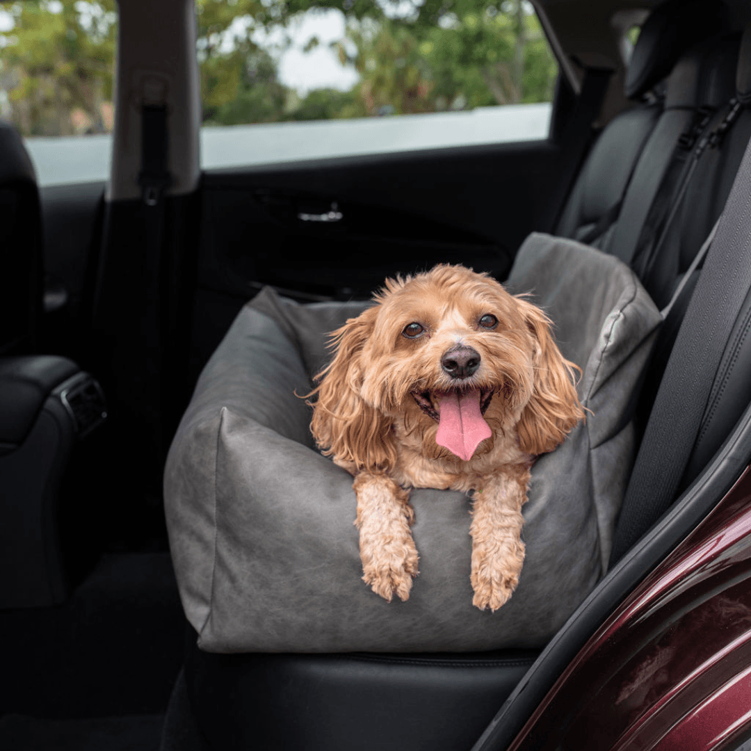 Memory Foam Dog Car Bed - Slate Gray - American Bark Bliss