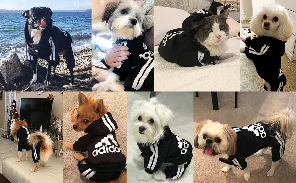 Pet Dog Hoodie Jumpsuit for Small and Medium Dogs - American Bark Bliss