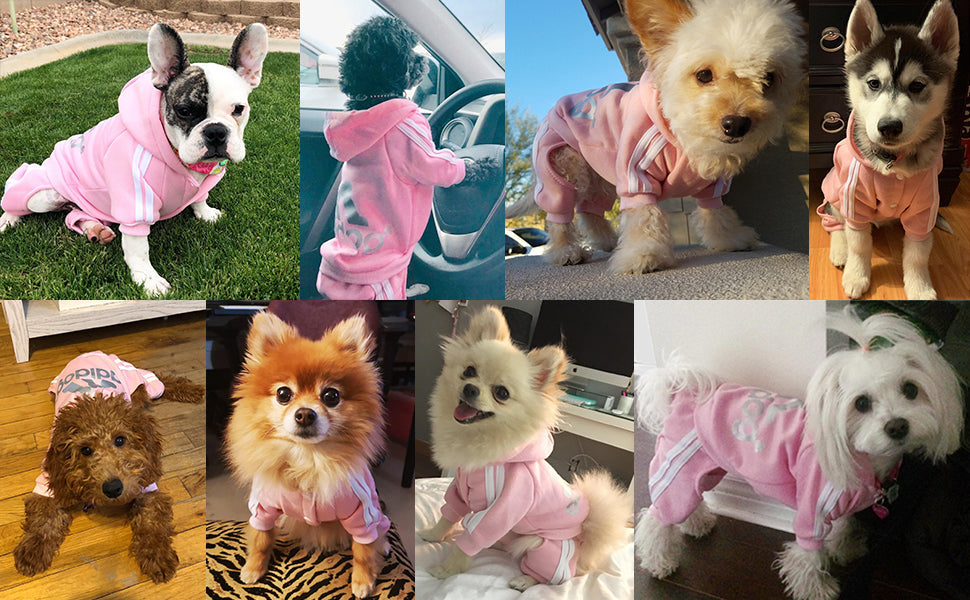 Pet Dog Hoodie Jumpsuit for Small and Medium Dogs - American Bark Bliss