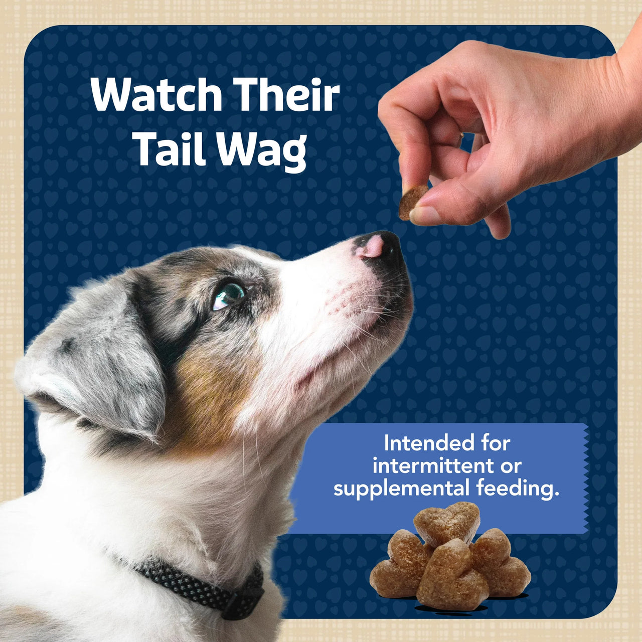 Bits Soft Dog Treats for Training, Enhanced with DHA, 19-Oz. Bag - American Bark Bliss