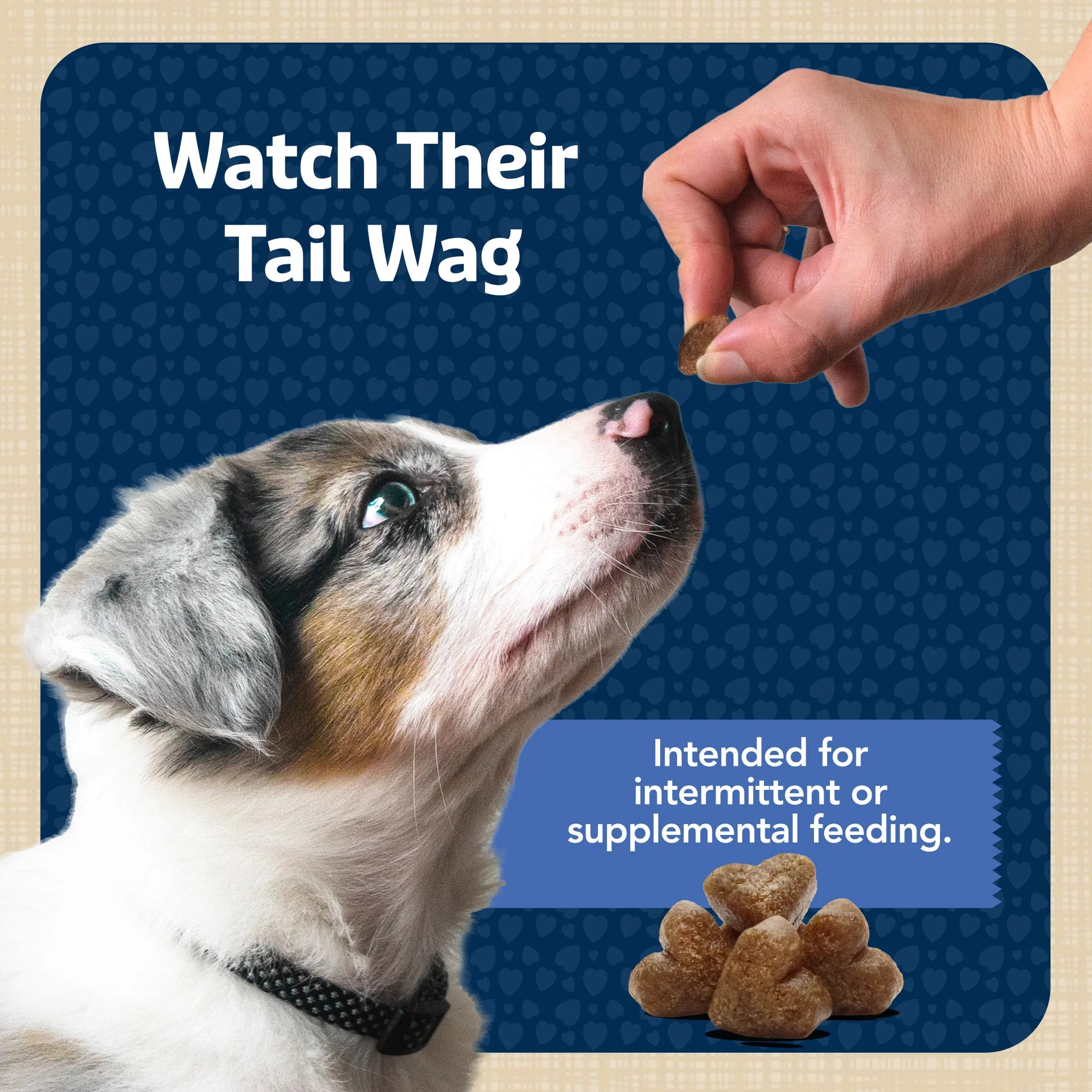 Bits Soft Dog Treats for Training, Enhanced with DHA, 19-Oz. Bag - American Bark Bliss