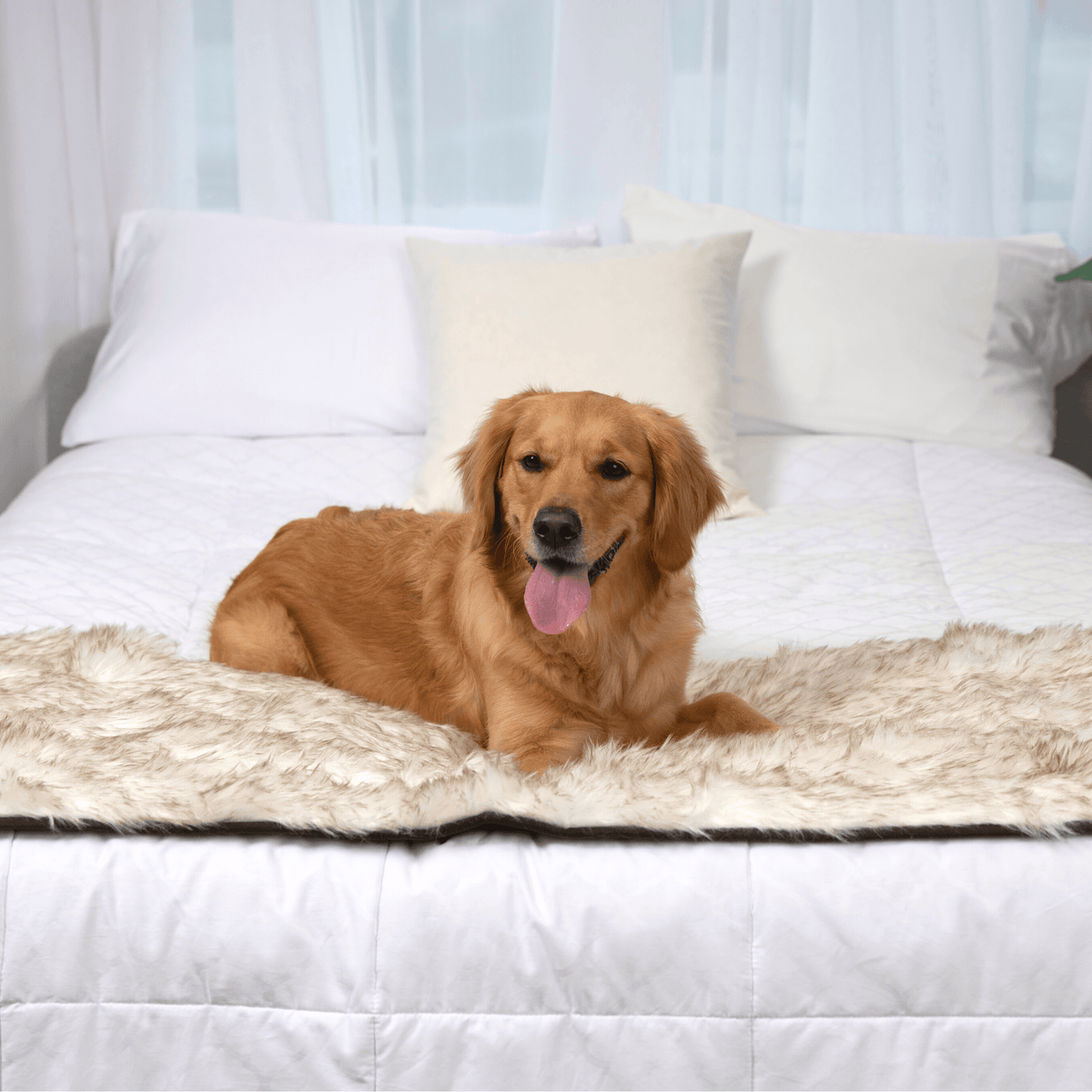 Dog Bed Runner Waterproof - PupProtector™ - American Bark Bliss