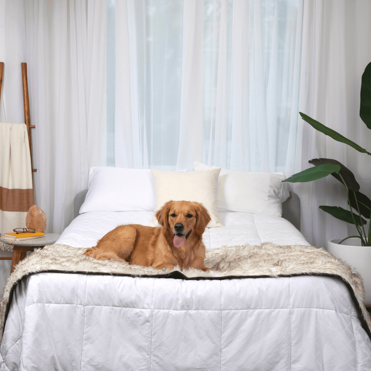 Dog Bed Runner Waterproof - PupProtector™ - American Bark Bliss