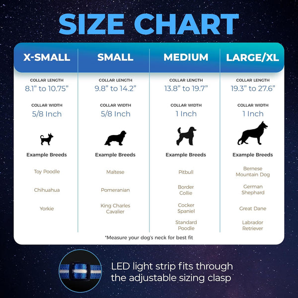 Bright Paws LED Collar