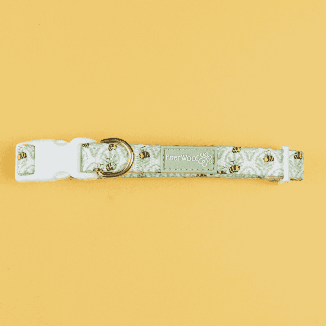 Little Honey Collar - American Bark Bliss