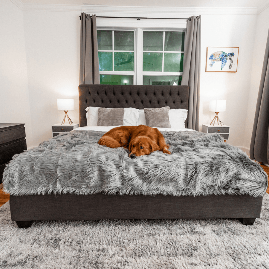 Waterproof Dog Throw Blanket - Protect Your Furniture - American Bark Bliss