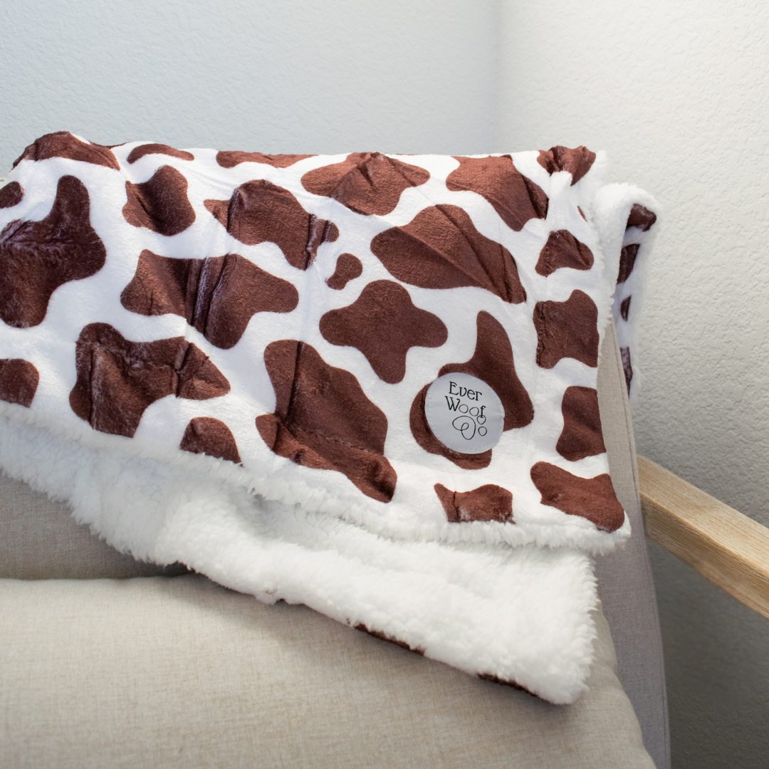 Chocolate Cow Dog Blanket - American Bark Bliss