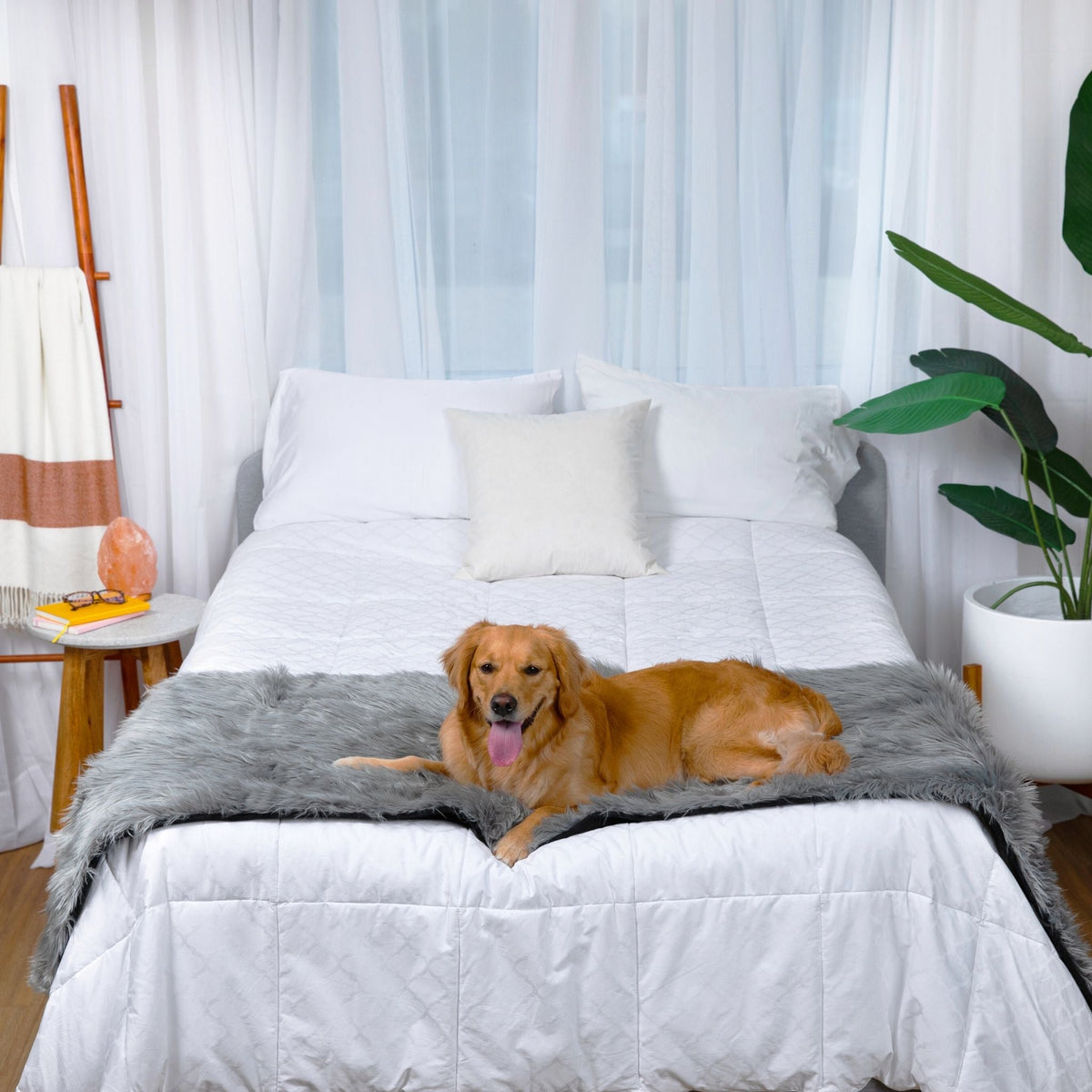 Waterproof Dog Bed Runner - PupProtector™ Charcoal Grey - American Bark Bliss
