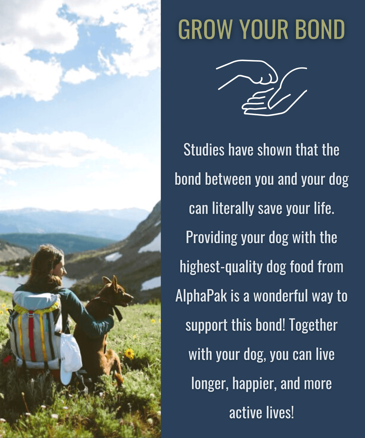 Raw Freeze Dried Dog Food Beef - All-Natural Nutrition - American Bark Bliss