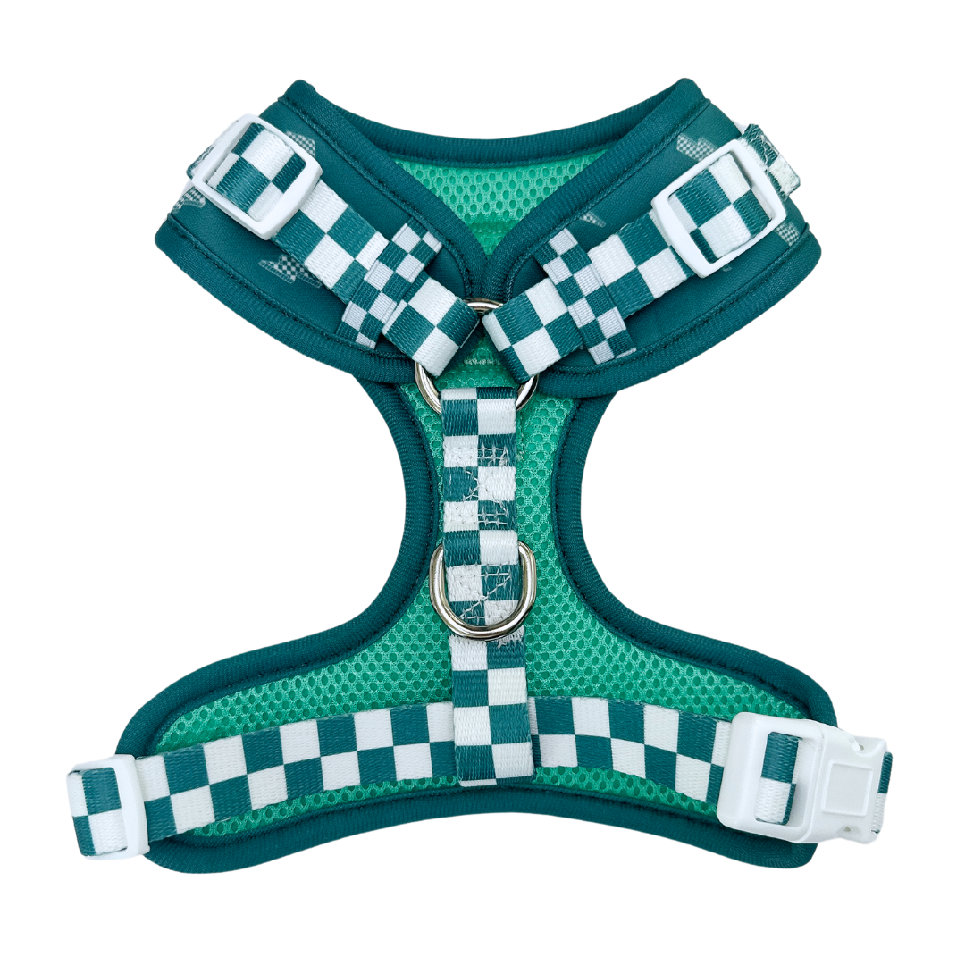 Thunderstruck Adjustable Harness - American Bark Bliss