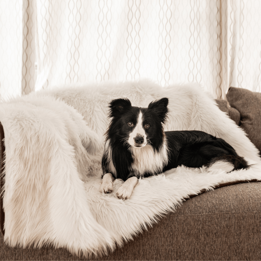 PupProtector Waterproof Dog Blanket - Polar White - American Bark Bliss