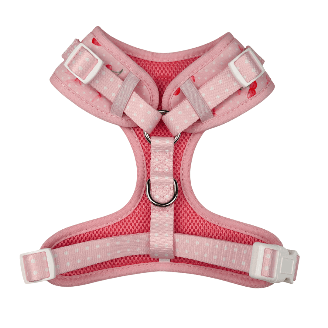 Sweet Chérie Adjustable Harness - American Bark Bliss