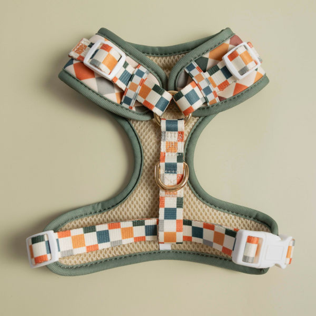 Sage & Cider Adjustable Harness - American Bark Bliss