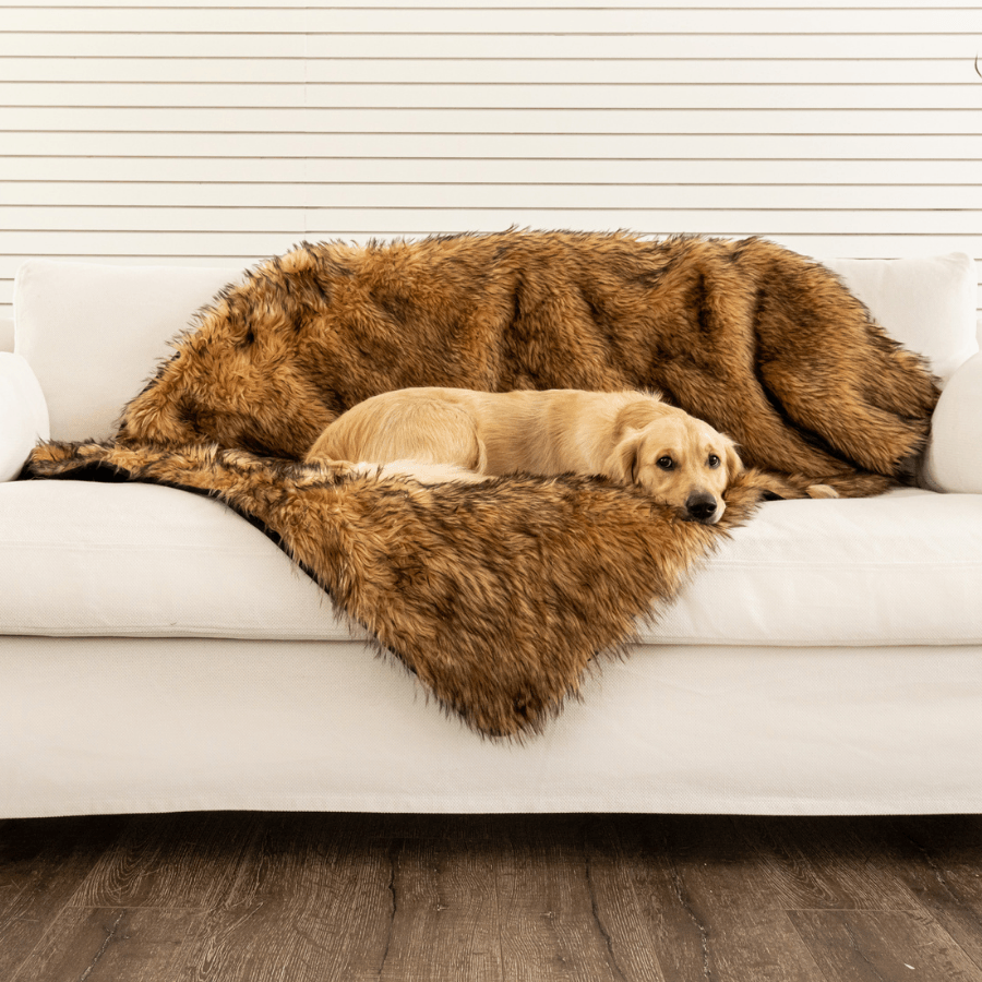 PupProtector Waterproof Dog Blanket - Sable Tan - American Bark Bliss